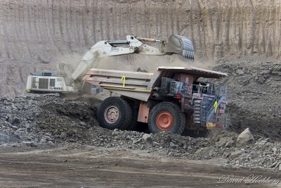 tal_DSC_1711s.jpg