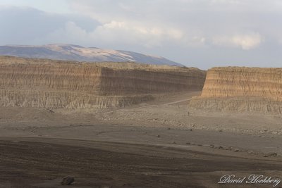 tal_DSC_1713s.jpg