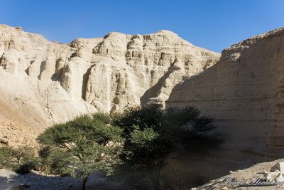tal_DSC_1736s.jpg