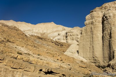 tal_DSC_1738s.jpg