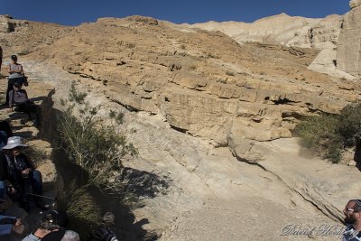 tal_DSC_1740s.jpg