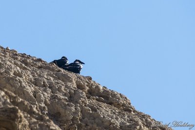 tal_DSC_1743s.jpg
