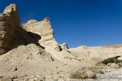 tal_DSC_1747s.jpg