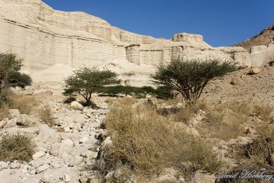 tal_DSC_1748s.jpg