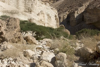 tal_DSC_1749s.jpg