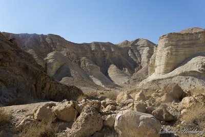 tal_DSC_1754s.jpg