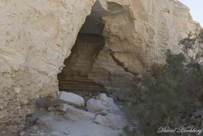 tal_DSC_1756s.jpg