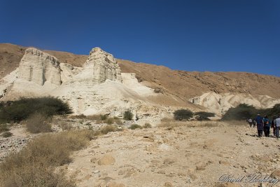 tal_DSC_1758s.jpg