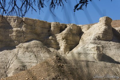 tal_DSC_1762s.jpg