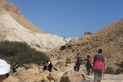 tal_DSC_1787s.jpg