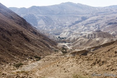 tal_DSC_1793s.jpg