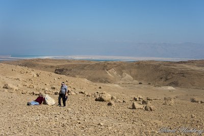 tal_DSC_1795s.jpg