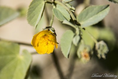 tal_DSC_1806s.jpg