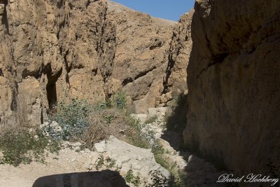 tal_DSC_1814s.jpg