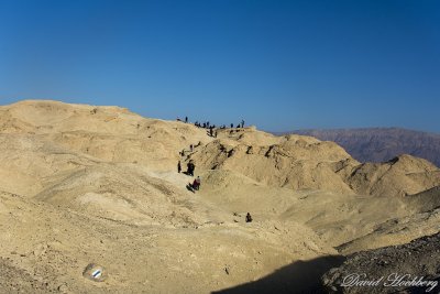 tal_DSC_1826s.jpg