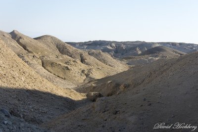 tal_DSC_1829s.jpg