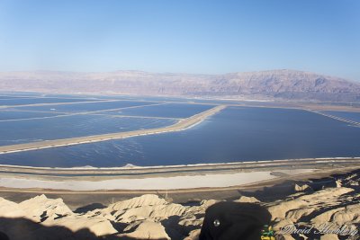 tal_DSC_1830s.jpg