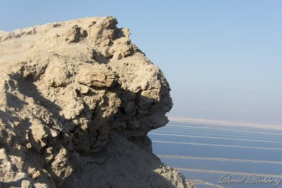 tal_DSC_1833s.jpg