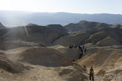 tal_DSC_1834s.jpg