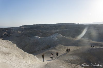 tal_DSC_1852s.jpg