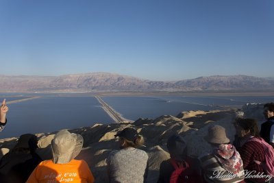 tal_DSC_1857s.jpg
