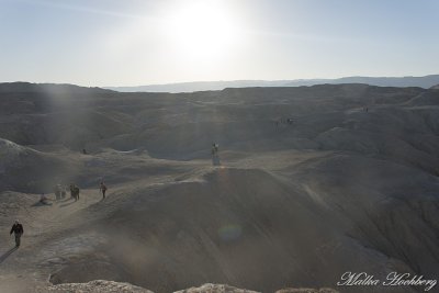 tal_DSC_1863s.jpg