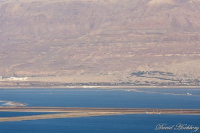 tal_DSC_1870s.jpg