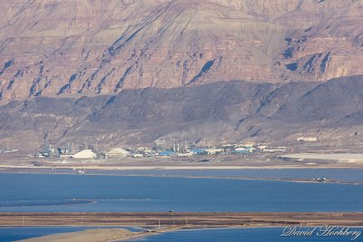 tal_DSC_1871s.jpg