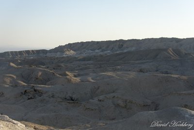 tal_DSC_1875s.jpg