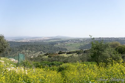 tal_DSC_1934s.jpg