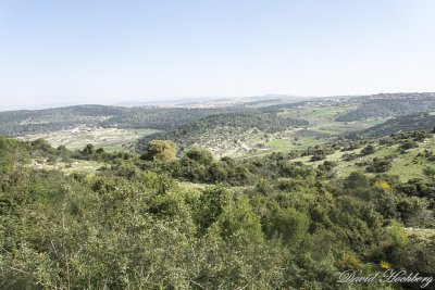 tal_DSC_1935s.jpg