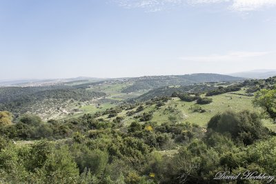 tal_DSC_1936s.jpg