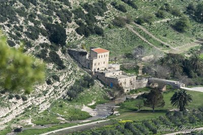 tal_DSC_1937s.jpg