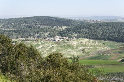 tal_DSC_1939s.jpg
