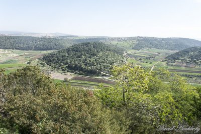 tal_DSC_1940s.jpg