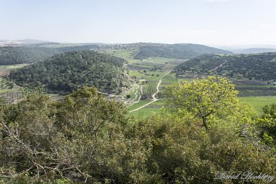 tal_DSC_1941s.jpg