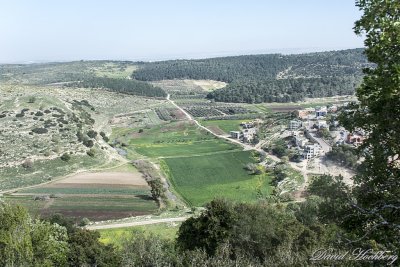 tal_DSC_1943s.jpg