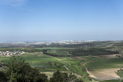 tal_DSC_1944s.jpg