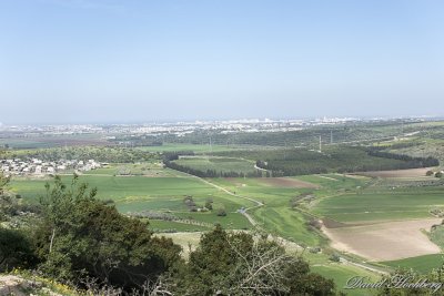 tal_DSC_1945s.jpg