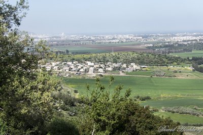 tal_DSC_1948s.jpg