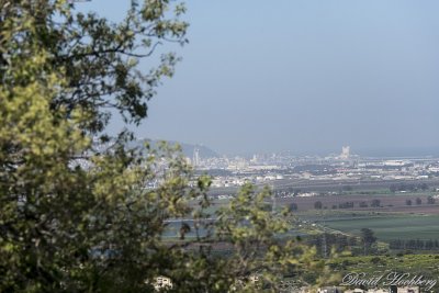 tal_DSC_1950s.jpg