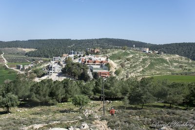 tal_DSC_1956s.jpg