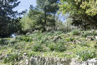 tal_DSC_1975s.jpg