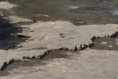 tal_DSC_1985s.jpg