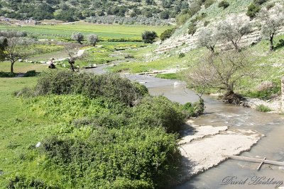 tal_DSC_1988s.jpg