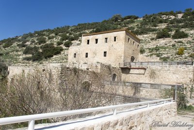 tal_DSC_1990s.jpg