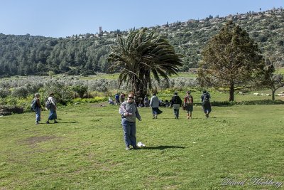 tal_DSC_1991s.jpg