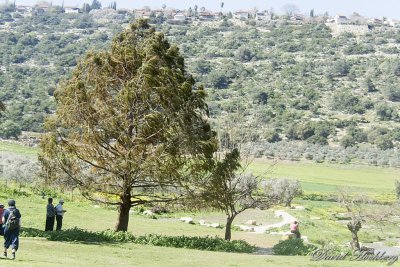 tal_DSC_1992s.jpg