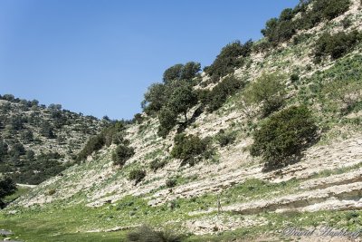 tal_DSC_1999s.jpg