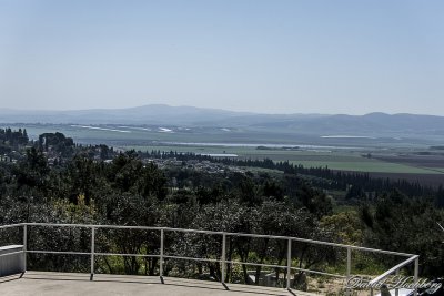 tal_DSC_2000s.jpg
